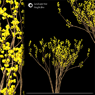 2014 Land scape tree | 3m Height 3D model image 1 