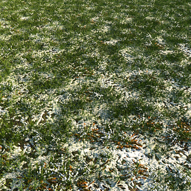 Frosty Meadow: 4 Grass Types, 2 Leaf Varieties 3D model image 1 