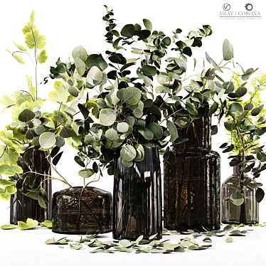 Premium Indoor Plant Collection 3D model image 1 