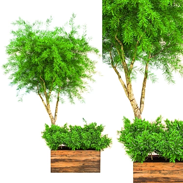 Ultimate Outdoor Plant Collection 3D model image 1 