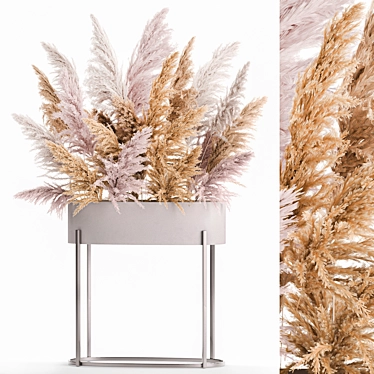 Elegant Reed Bouquet: White Phragmites & Pampas Grass 3D model image 1 