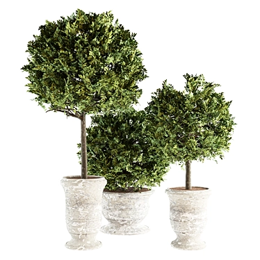 Concrete Pot Outdoor Plants 3D model image 1 