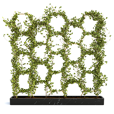 Lush Ivy Plant Set - 3D Max Modeling 3D model image 1 