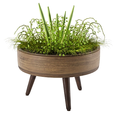 Versatile Indoor/Outdoor Plant 3D model image 1 