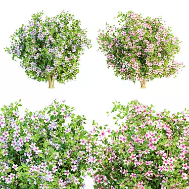 Vibrant Blooms Bushes Set 3D model image 1 