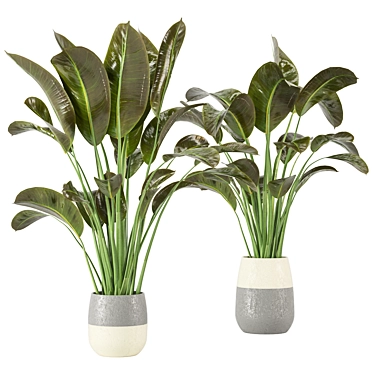 Indoor Greenery Collection - Set 113 3D model image 1 