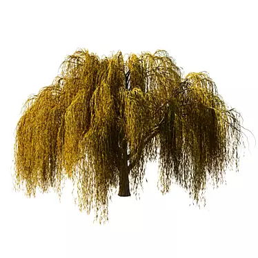 Serene Willow Tree Sculpture 3D model image 1 