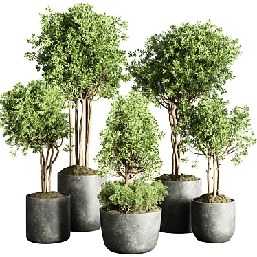 145-Piece Collection: Indoor/Outdoor Plant Tree Vase in Dirty Concrete 3D model image 1 