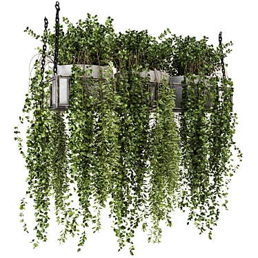 Metal Box Hanging Plants - Set 311 3D model image 1 