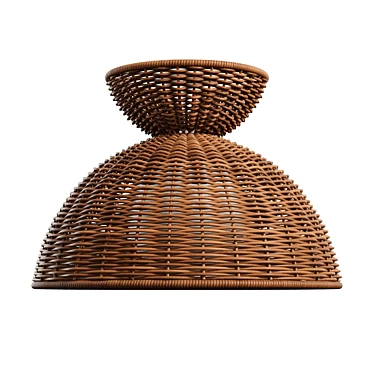 Rattan Glow Flush Mount 3D model image 1 