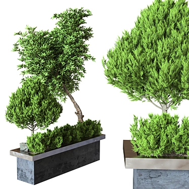 Outdoor Plant Collection Vol. 23 3D model image 1 