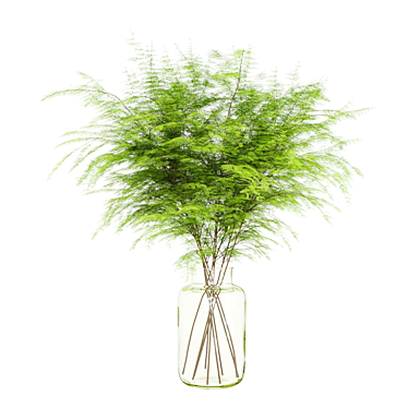 Lush Green Fern Bouquet 3D model image 1 