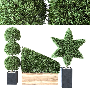 Bush Vol. 02 - 2015 Edition 3D model image 1 