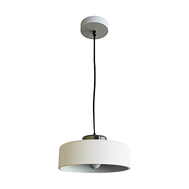 Elegant Round Pendant Light 3D model image 1 