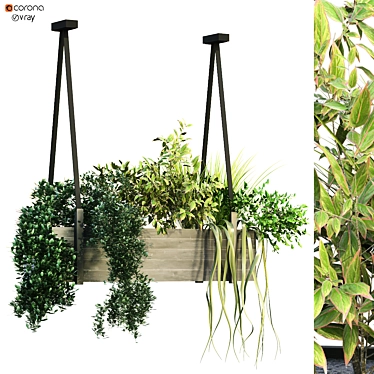 Green Oasis: Indoor Plant Box Set 3D model image 1 