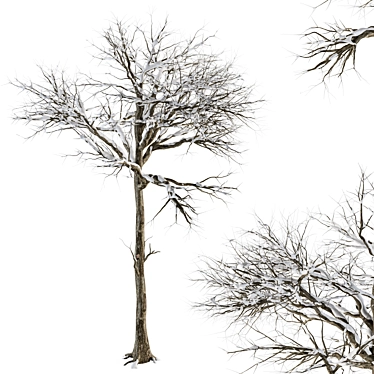 Frosty Wonderland Tree - Set 58 3D model image 1 