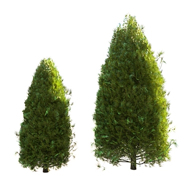 Pine Tree 03: Perfect for Landscaping 3D model image 1 