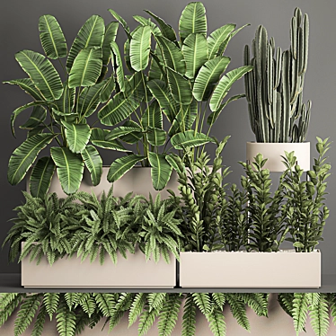 Exotic Plant Collection: Decorative Palms, Ferns, Cacti & More 3D model image 1 