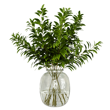 Houseplant Dark Green