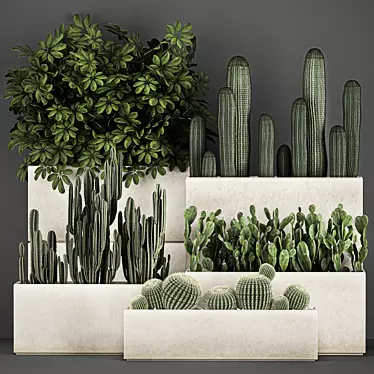 Exotic Cactus Collection: Decorate Your Space with Tropical Plants 3D model image 1 