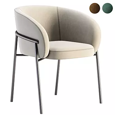 Rimo Modern Dining Chair 3D model image 1 