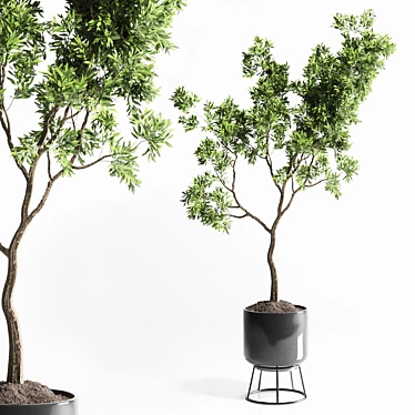 150 Plant Tree Metal Vase: Indoor Elegance 3D model image 1 