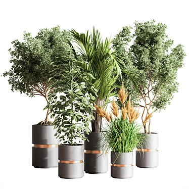 Modern Indoor Set of 16 Plants 3D model image 1 