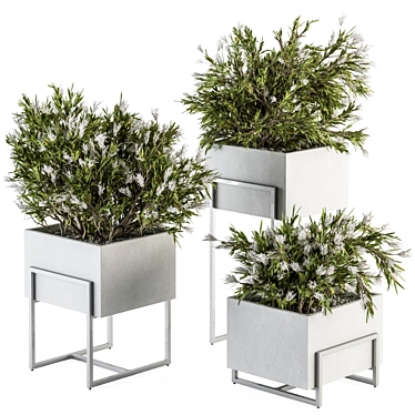 Elegant Greenery: Plant Set in White Box 3D model image 1 
