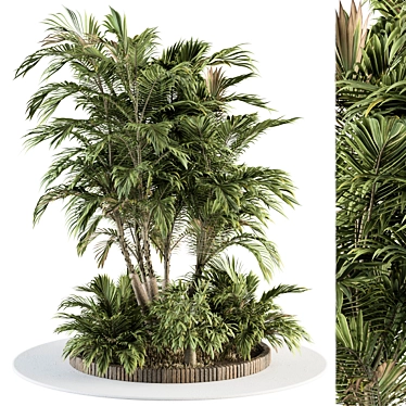 Exotic Outdoor Plant Set 3D model image 1 
