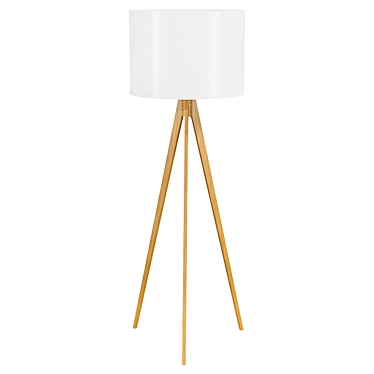 Elegant Treviso Floor Lamp 3D model image 1 