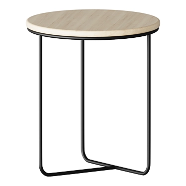 Elegant Paulownia-black Metal Side Table 3D model image 1 