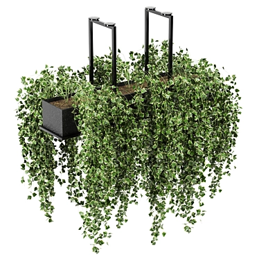 Metalbox Indoor Hanging Plants Set 3D model image 1 