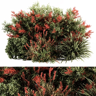 Green and Red Mixed Plant Bush - Set of 51 Bushes 3D model image 1 