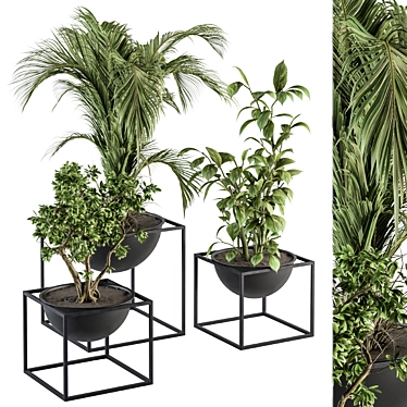 Sleek Greenery: Indoor Plant Set 3D model image 1 