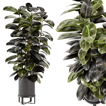 Ferm Living Indoor Plants Set - Bau Pot Large 3D model image 1 