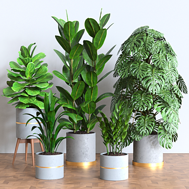 Green Oasis Plant Collection 3D model image 1 