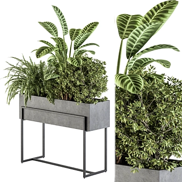 Elegant Greenery in Black: Indoor Plant Set 3D model image 1 
