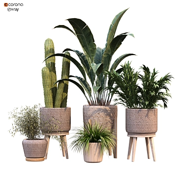 Green Oasis Vase Collection 3D model image 1 