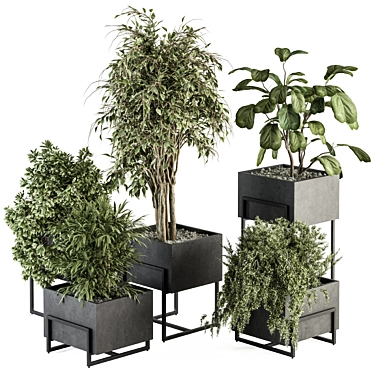 Botanical Bliss: Indoor Plant Set 3D model image 1 