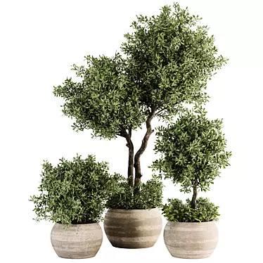 Stylish Indoor Plant Set 05 3D model image 1 