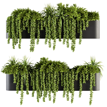 Botanical Box: Hanging Indoor Plant Set 3D model image 1 