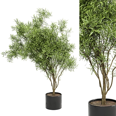  Indoor Greenery: Ferm Living Bau Pot Large - Set 140 3D model image 1 