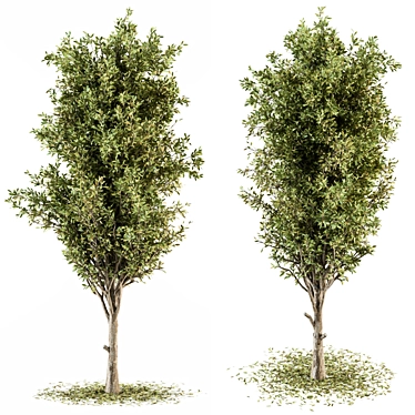 Tree Green Broadleaf Set 60 3D model image 1 