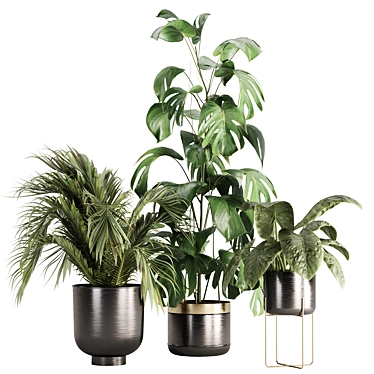 Green Oasis Indoor Plant Set 3D model image 1 