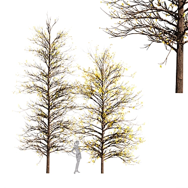 Winter Wonderland Tree - Realistic Acer Buergerianum Beauty 3D model image 1 