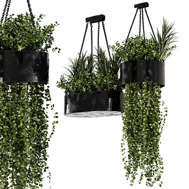 Indoor Hanging Plants Set in Metal Box 3D model image 1 