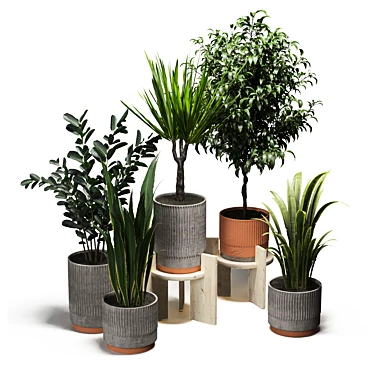  Green Oasis: Indoor Plants Set 3D model image 1 