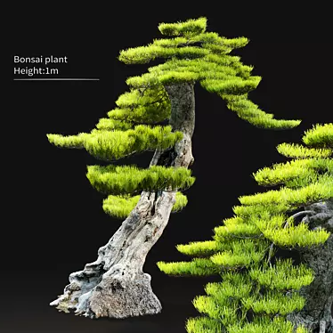 Exquisite Bonsai Tree: 1.2m Tall 3D model image 1 