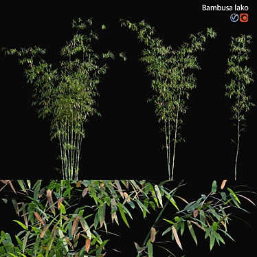 Bamboo 3D Models - Variety of Formats and Textures 3D model image 1 