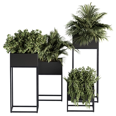 326 Indoor Plant Set - Black Box 3D model image 1 